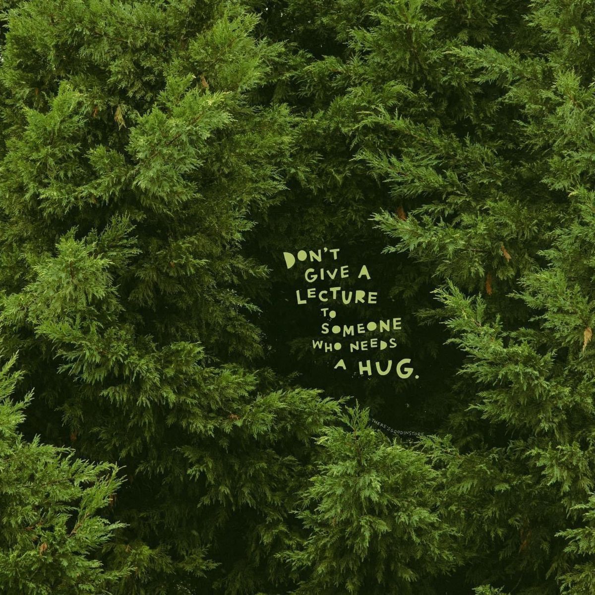 ᅠ ᅠ (@greendreaams) on Twitter photo 