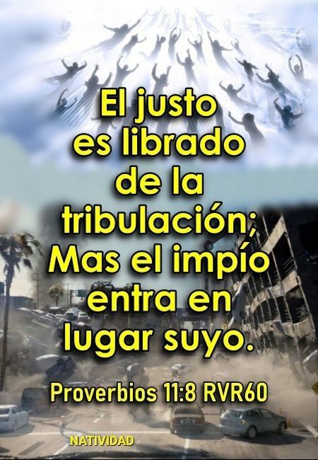 JOHANNA PIMENTEL tweet media