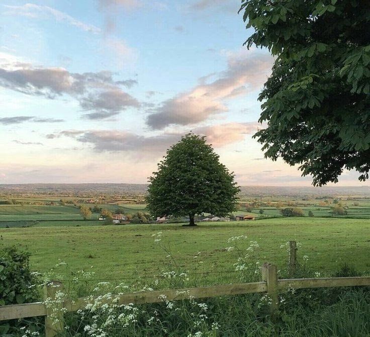 ᅠ ᅠ (@greendreaams) on Twitter photo 