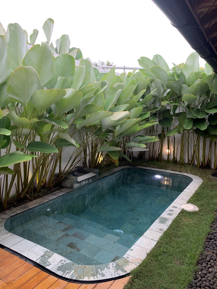 𝓡𝓮𝓽𝓪𝓪 🌺 tweet media