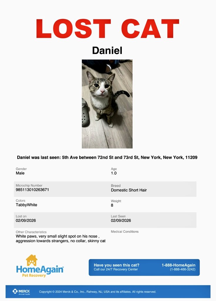 MeowMiya88's tweet image. 📢🇺🇸🗽⏳️🚨💔🆘️😿 Please RT to find Daniel #NYC #missingcat #lostcat #Manhattan #CatsOfTwitter #CatsOfX @HAPetRescuer