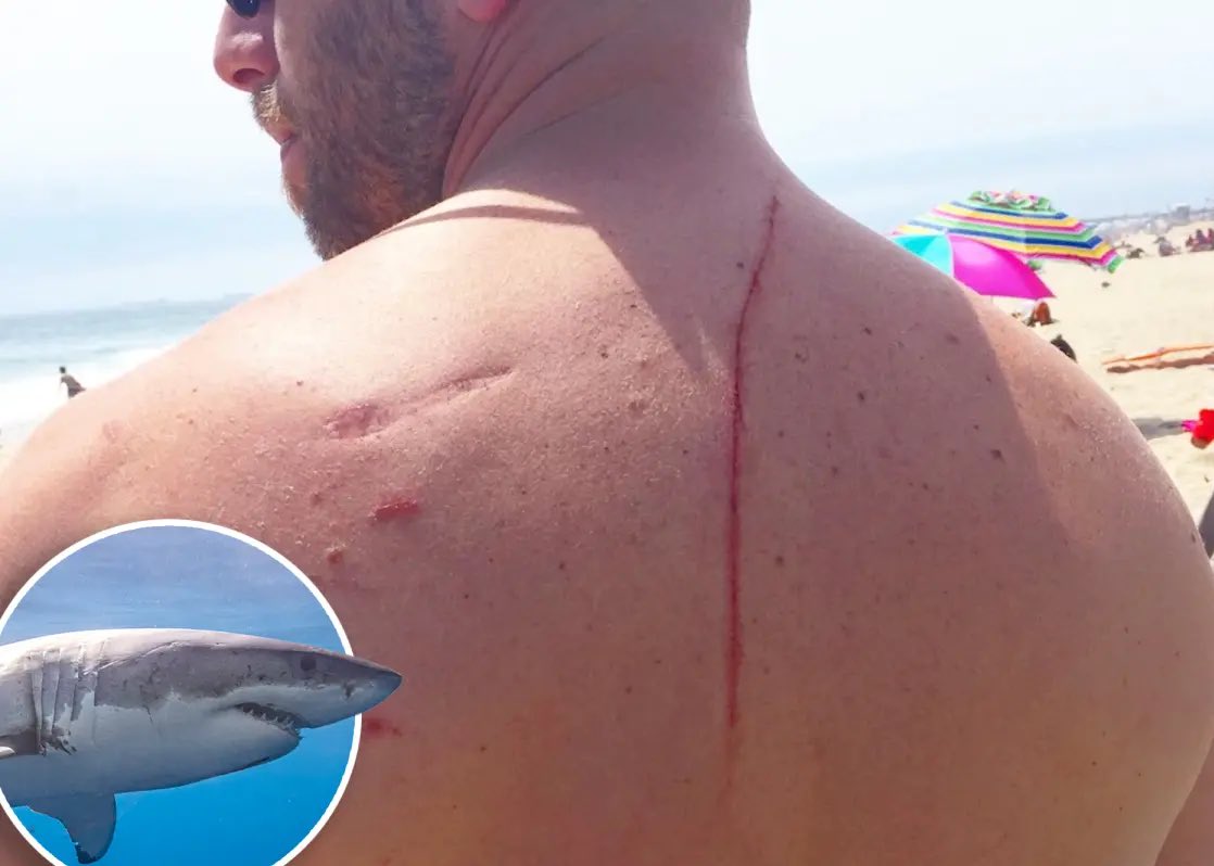 Nightmare Threads tweet media