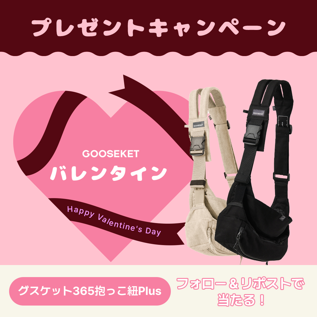 れもんちゃん🍋 (@lemon__321) / Posts / X