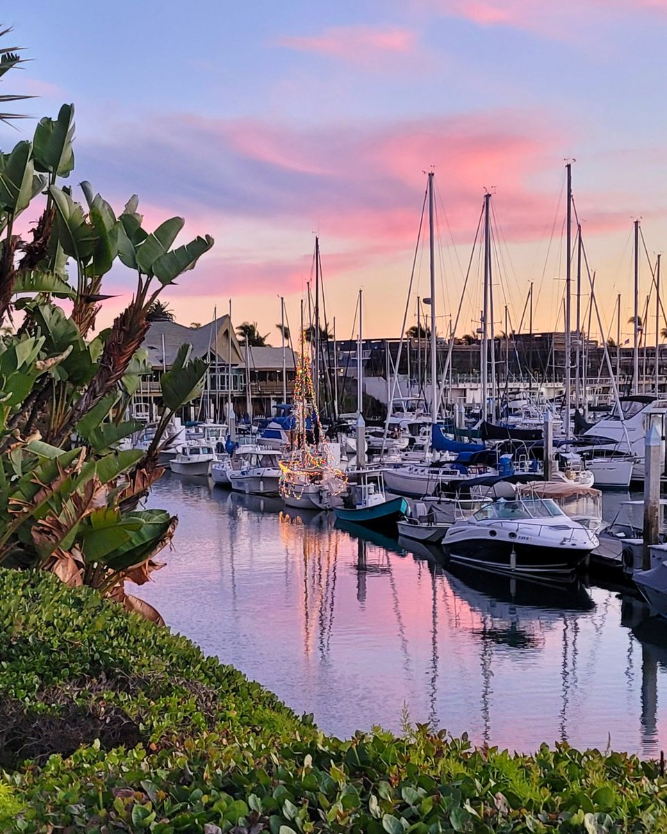 Humphreys Half Moon tweet media