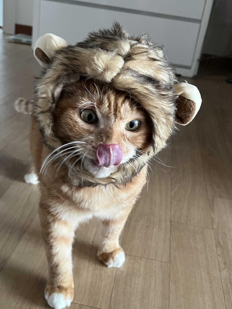 여러분 행복하세요 !! 늘 건강하세요 !! ^___^