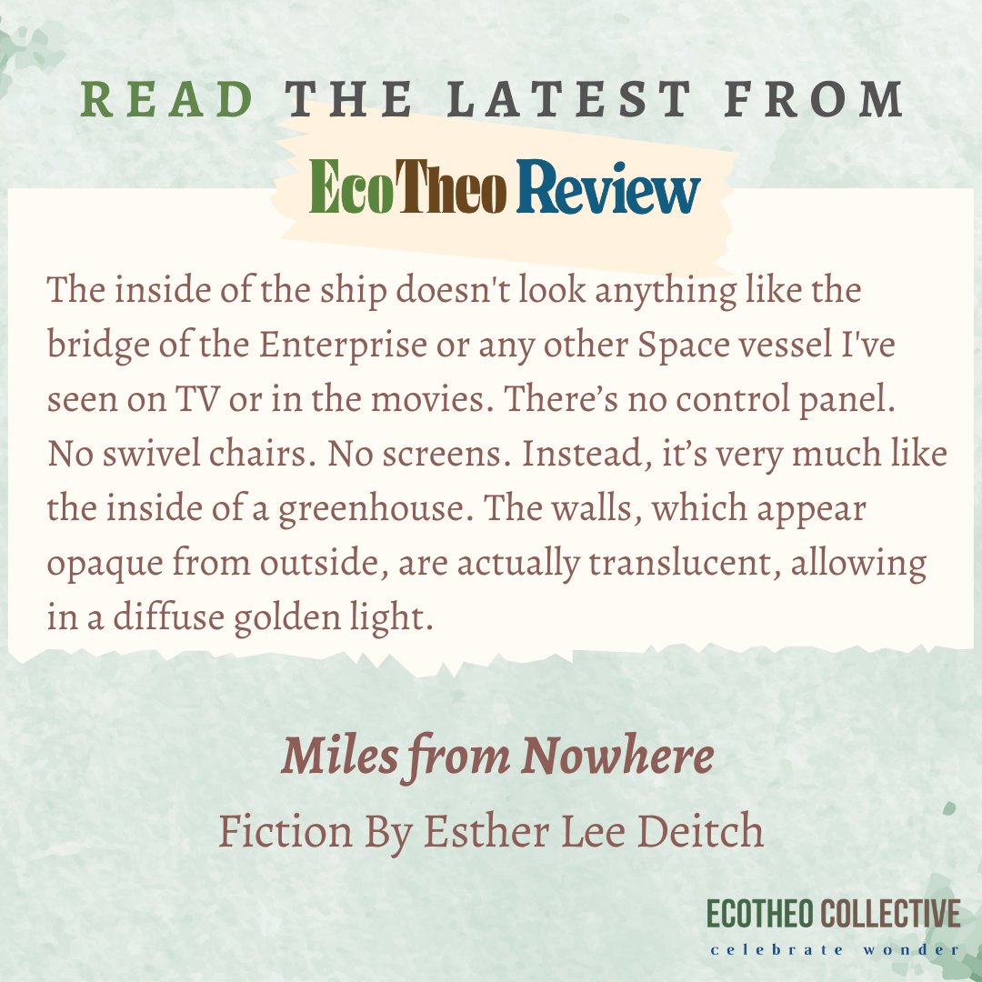 EcoTheo Collective tweet media