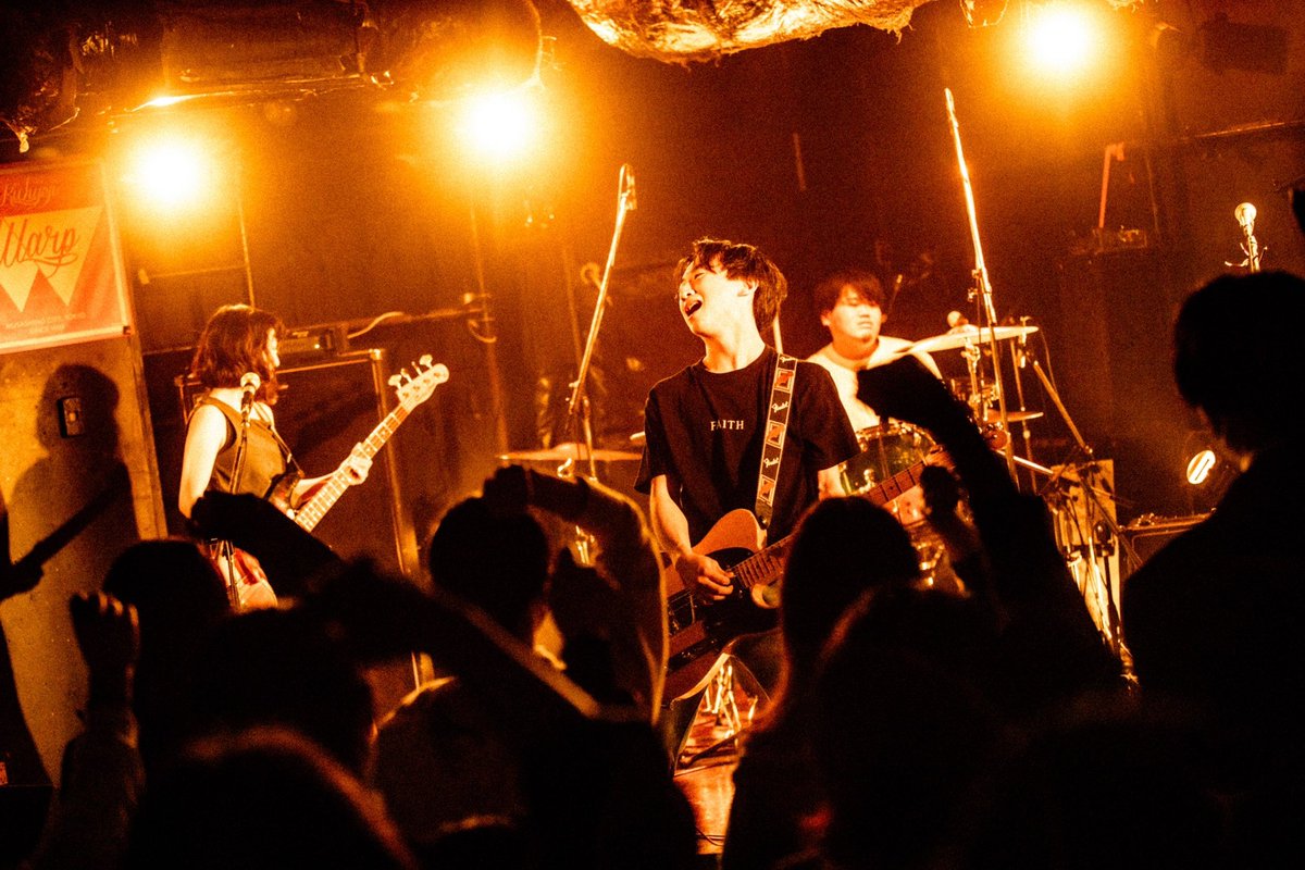 CASANOVA FISH tweet media