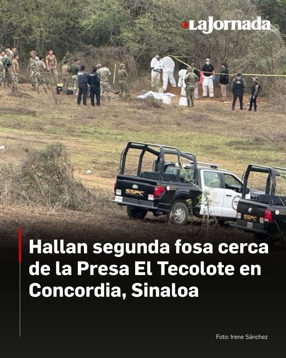 La Jornada tweet media