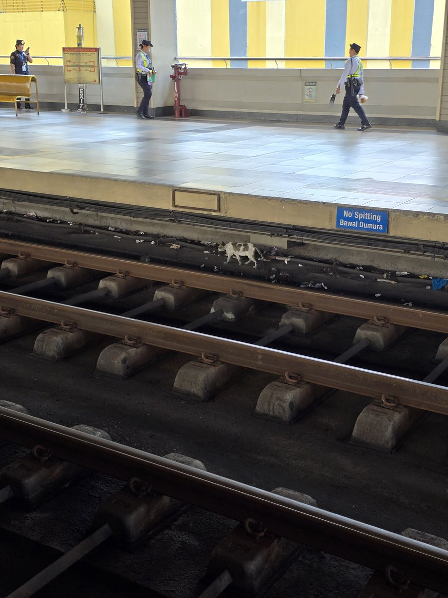 s.h.a.n.d.i.e..v tweet media