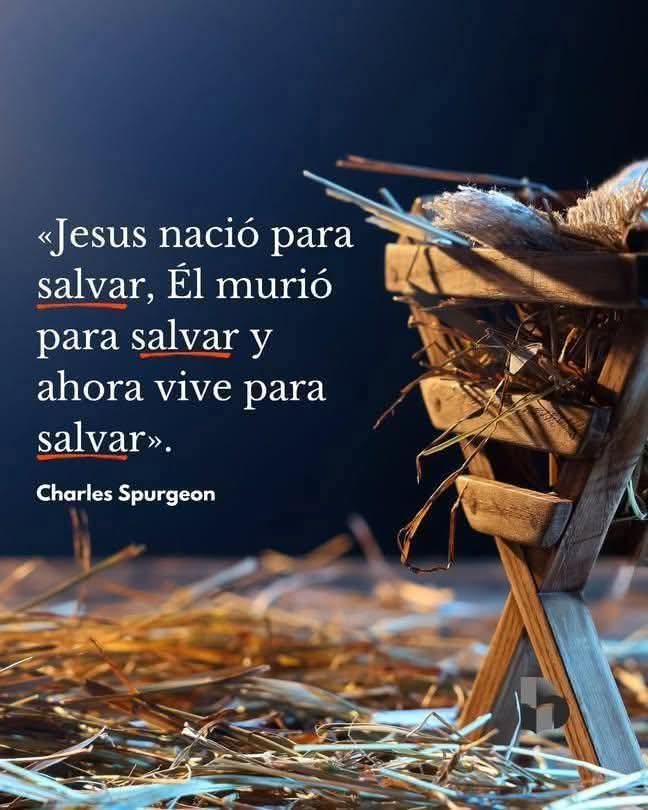 Blasko-Lavayen🇮🇱🇪🇨 tweet media