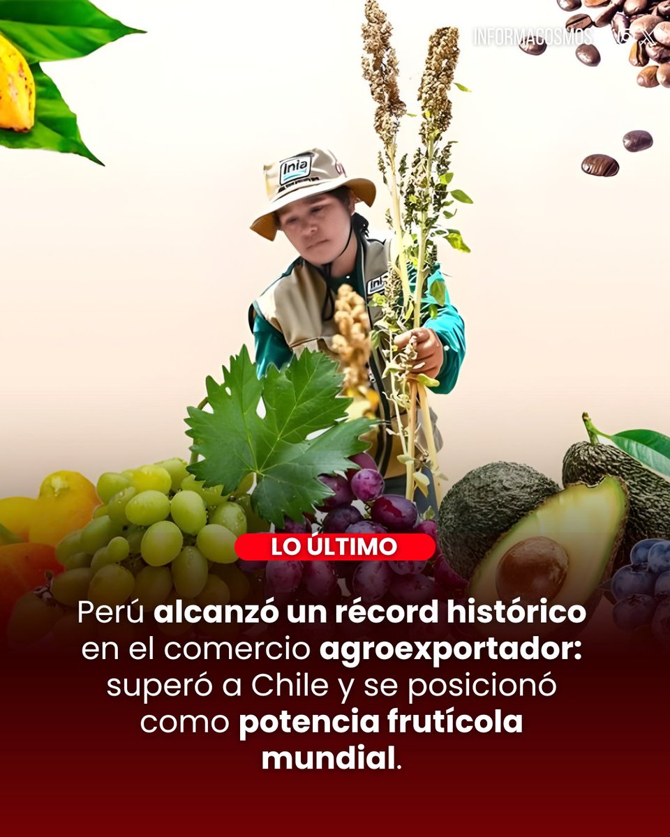 Perú cerró el 2025 con exportaciones agropecuarias superiores a 14 000 millones de dólares, un récord histórico impulsado por un crecimiento de 18% respecto al año anterior. 

El resultado consolida al país como uno de los principales proveedores agrícolas en mercados como