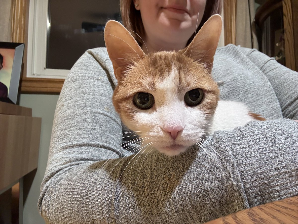 Erin 🧠👑 tweet media