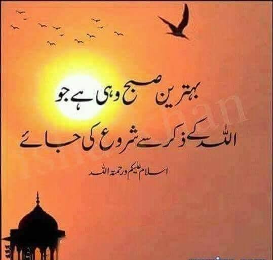 Follow back for everyone 🙂 tweet media