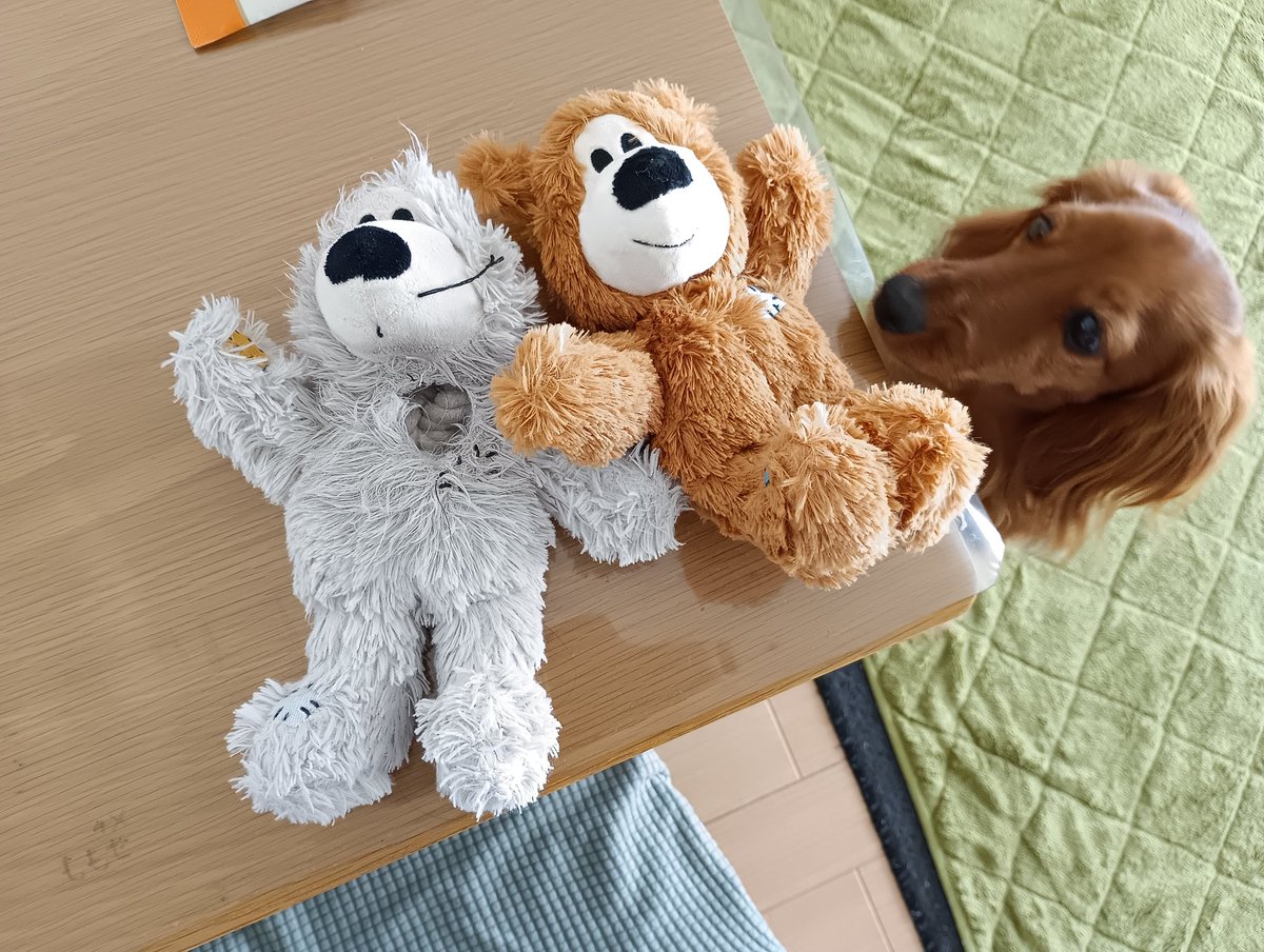 ももえり🍑 (@tokimemomoeri) / Posts / X