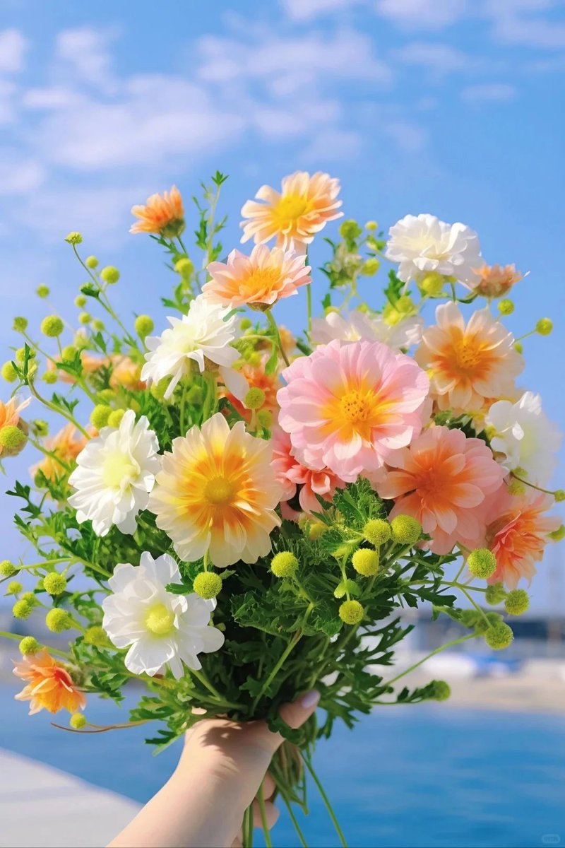 joyfulframes's tweet image. 清喜于时光，安稳于日常，
不慌不忙，一程自有一程的芬芳，

早安，朋友