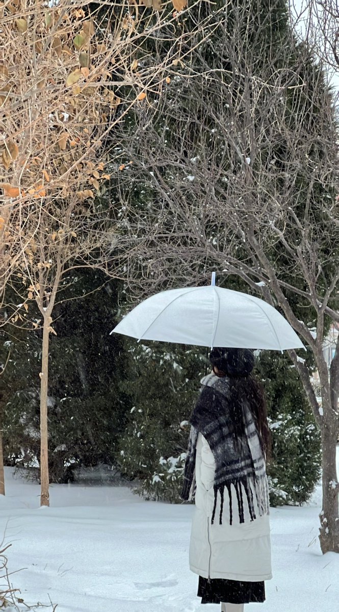 AriasmithAria1's tweet photo. Finding beauty in the quiet moments of winter. ❄️✨ Embracing the snow and the stories it tells while creating my own in this magical wonderland https://t.co/clhqyYzBja