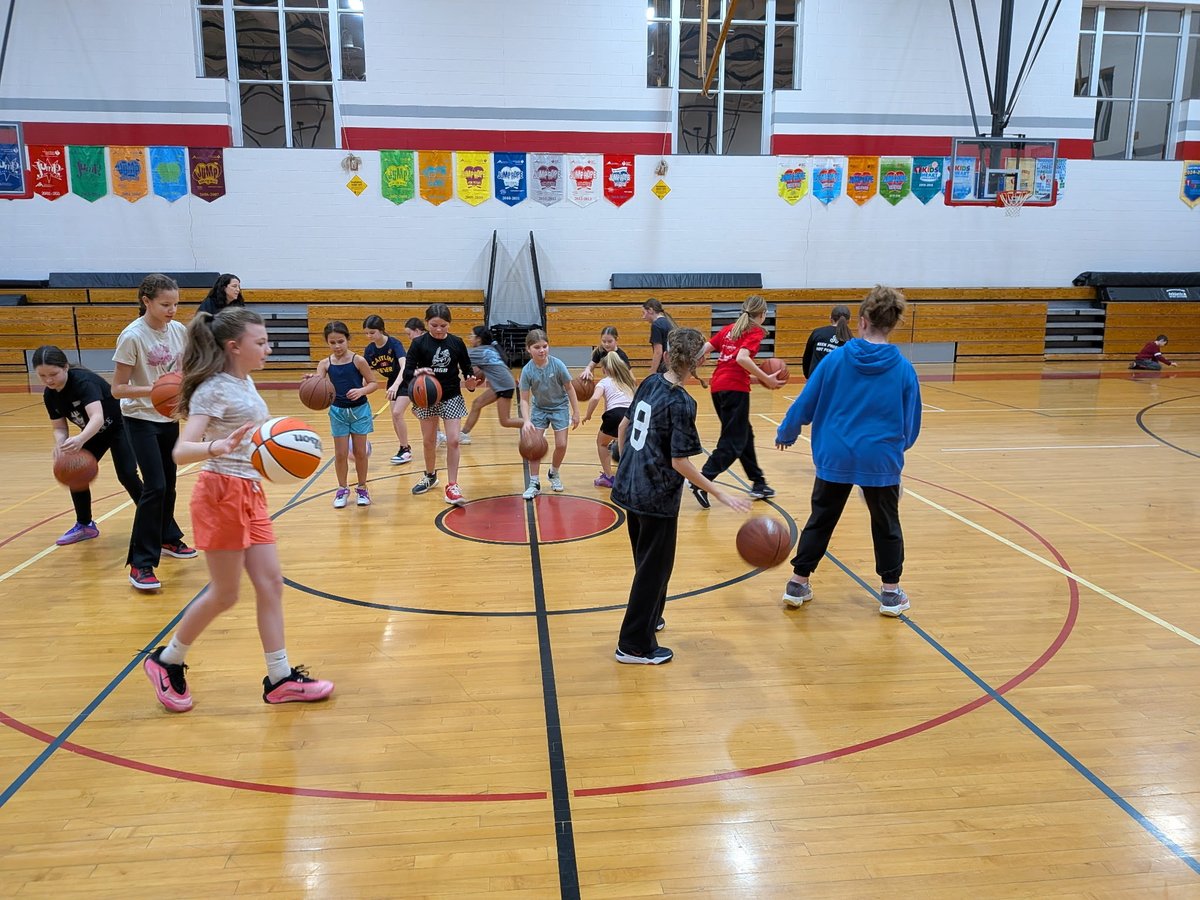 Hilton Select Basketball tweet media