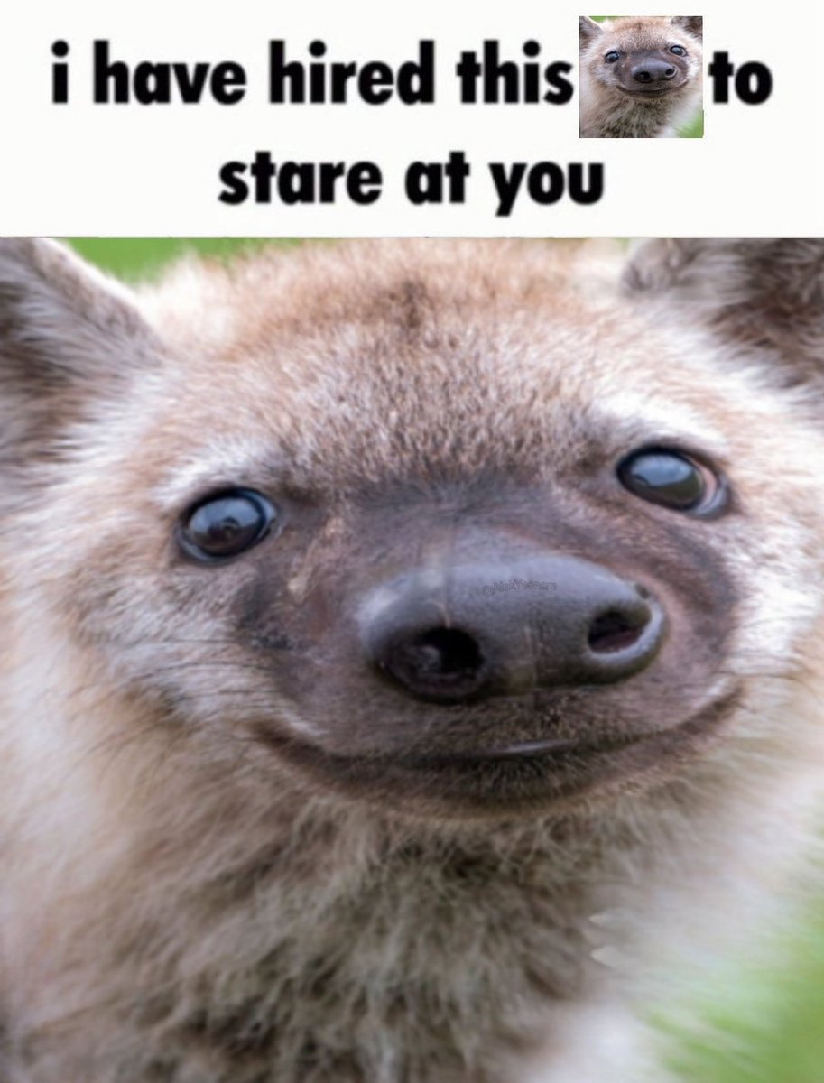 hiiiiiiiiiiiiiiiiiiiiiiiiiii