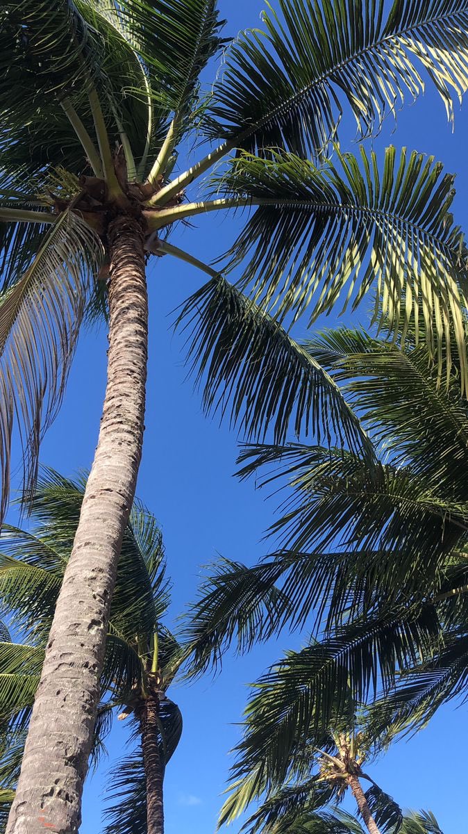 rayaffection99's tweet image. clear skies clear my mind