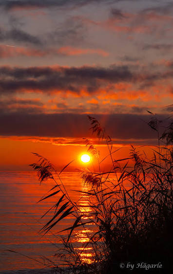 Good morning beautiful  friends