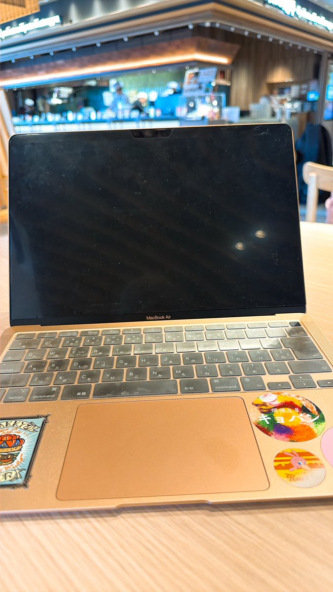 2週間の東南アジア前にPCが水没して死んだ可能性ある(笑)
ただの鉛の塊持って飛行機乗る(笑)

俺も一緒に死んでくる(笑)