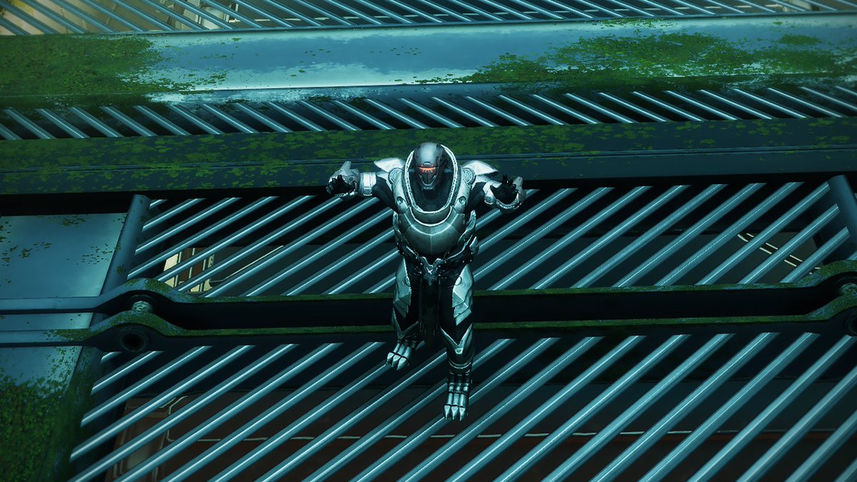 Lemonade 🍋 tweet media