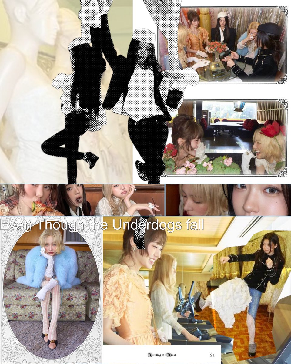 ✙ ੂ.˳˳.⋅ॱ ˙ ˚ ░⃜ tweet media