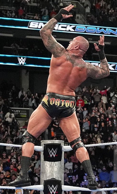 Snake in disguise! ⁂ ⌜ NOT @RandyOrton ⌟ tweet media