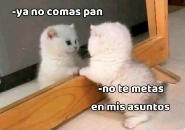 De: mí
Para: mí