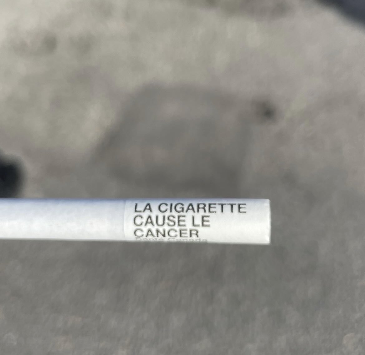 yall know i’m canada down