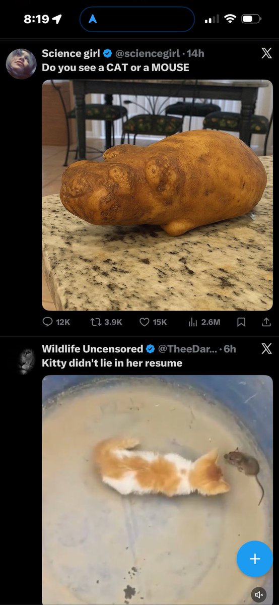 I see both…

And a hippomoose 😂