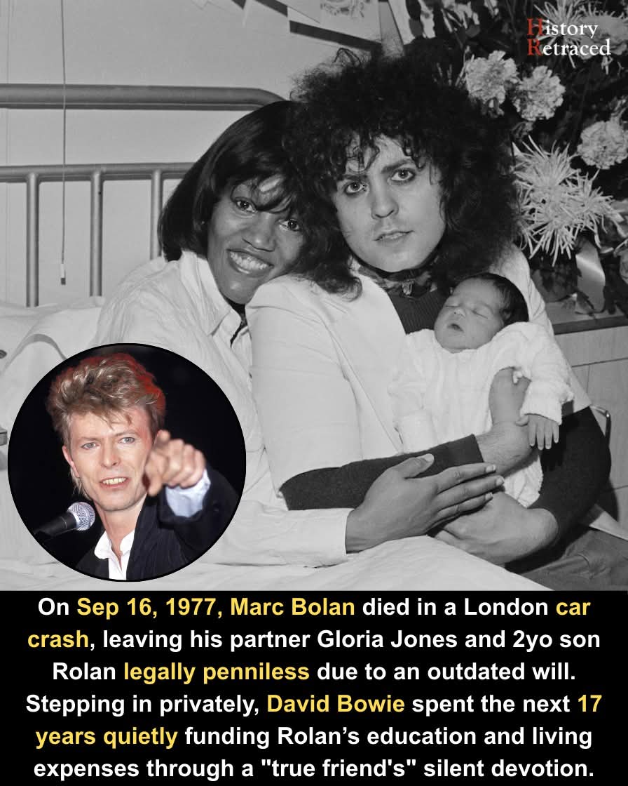 Alexander tweet media