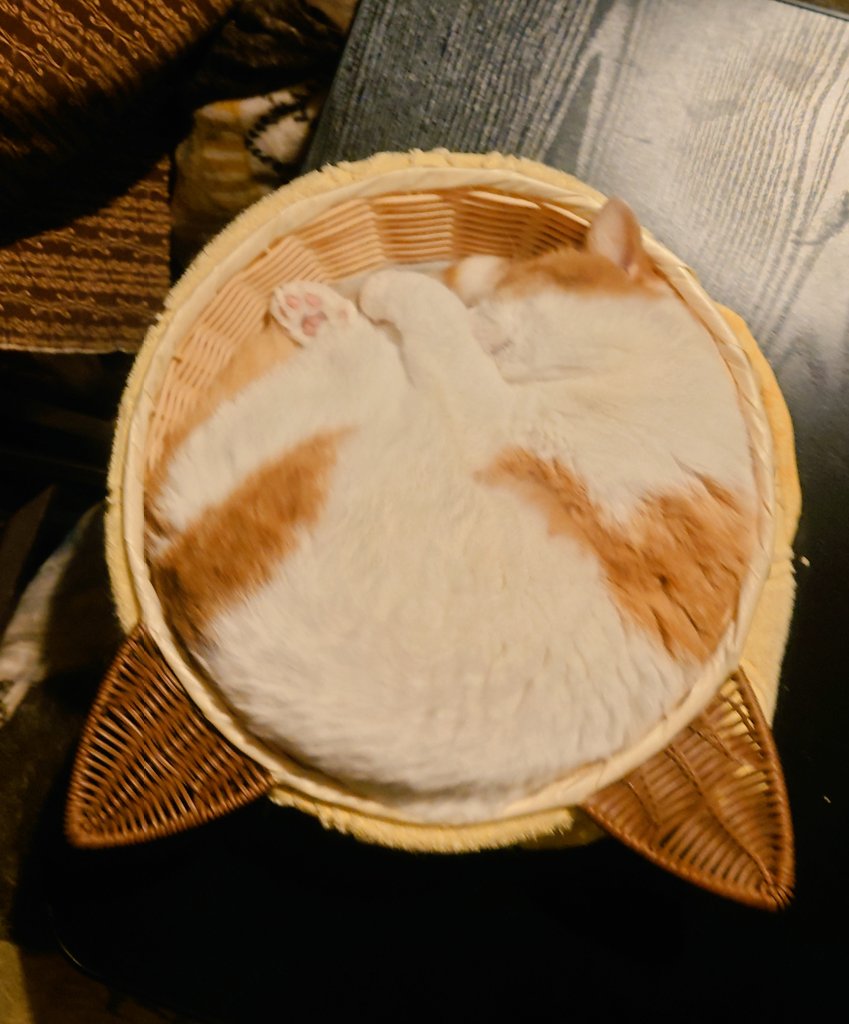 おちゃまる (@ochamarusan0126) / Posts / X