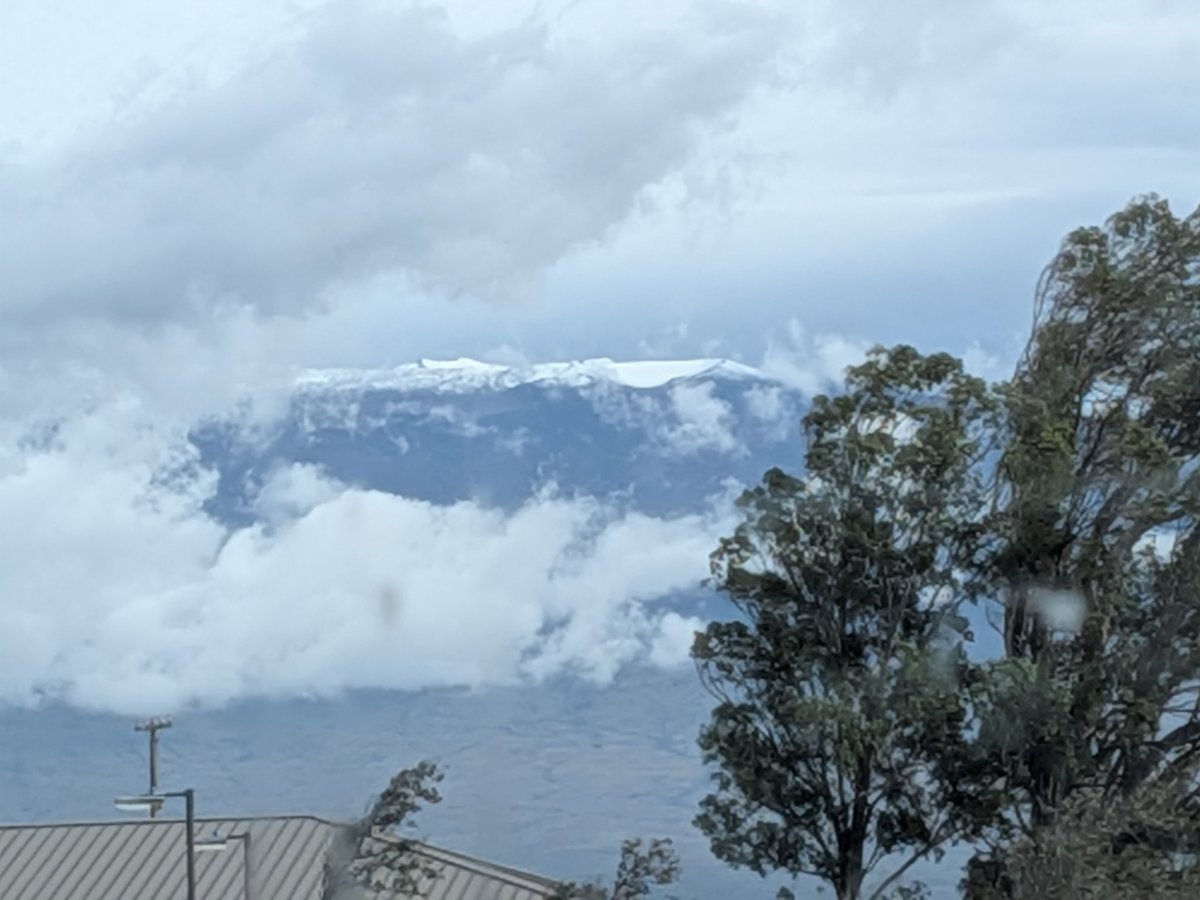 Today is a school snow/wind day, just in time for the Winter Olympics....

#drinkhidrate
#xoskinusa
#hawaiiultra #teamfireball
Noxgear lighted vests for you and your pets noxgear.com/ref/joefirebal…