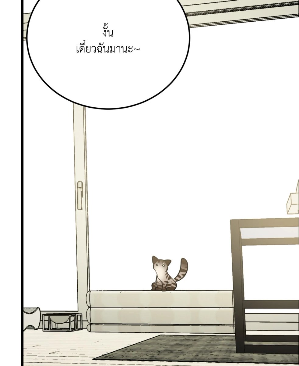 azukajun's tweet image. แมวบอกใครจะอยู่ก็อยู่ ไกปูเพื่อสวัสดิภาพขลั่ย!!!