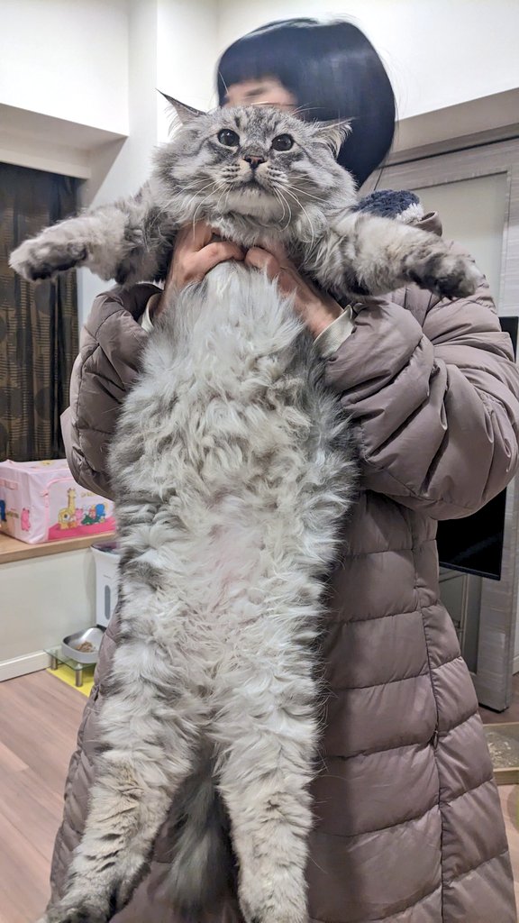 かわいいため、グリグリのことを好きな人が1万人に達しかけています