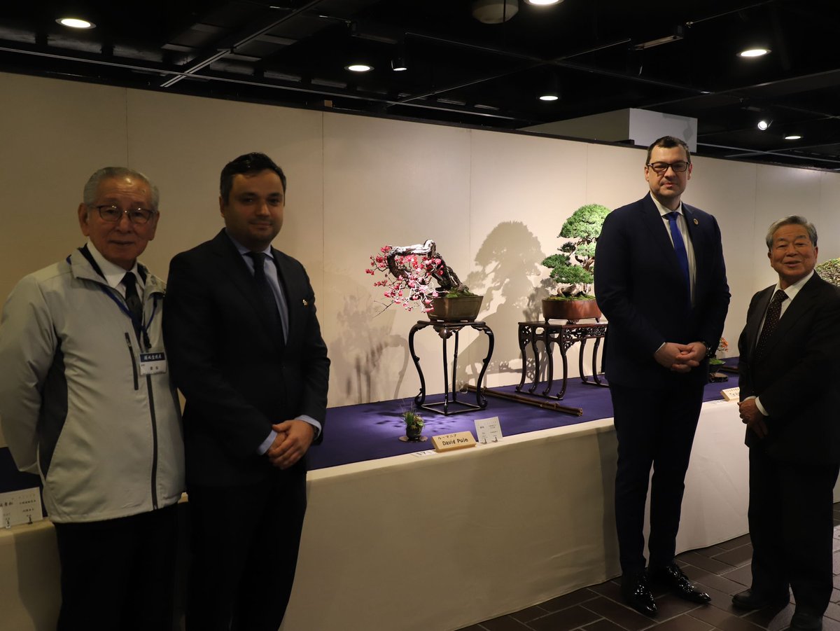 RO_Emb_Japan's tweet image. 第100回国風盆栽展にてルーマニア大使館のプイエ外交官が歴史的入選を果たしました。ルーマニア人且つ外交官として史上初の快挙です。ラエツキ大使は日本盆栽協会や小林國雄師と本展を視察。更に春花園盆栽美術館を訪れ、盆栽芸術の奥深さを体感する貴重な機会となりました。