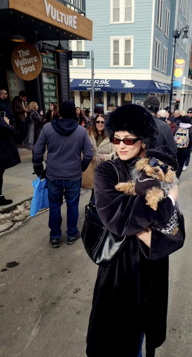 Lexi howard’s cat tweet media