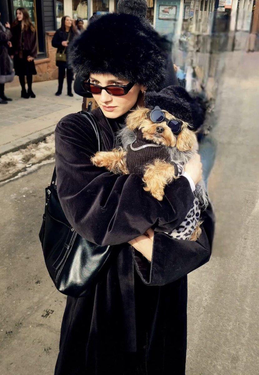 Lexi howard’s cat tweet media