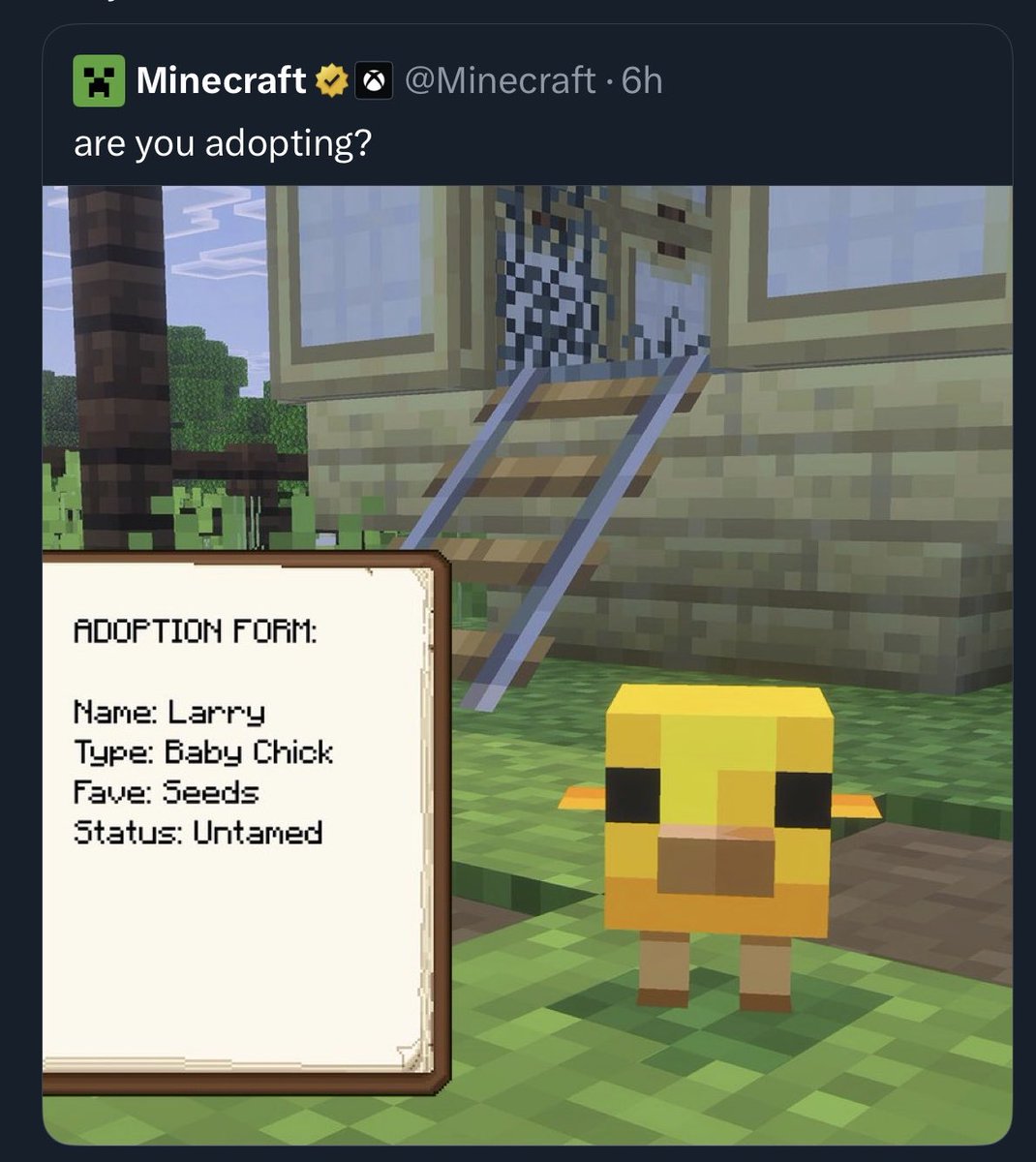 wattles 💎 tweet media