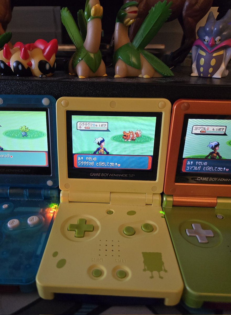 Shiny Zigzagoon in Sapphire after 8055 REs!!! Phase 2 for Tropius