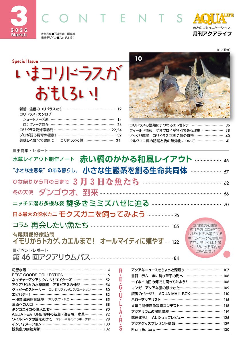 AQUALIFE_MPJ's tweet photo. 【本日発売】アクアライフ3月号、本日発売。特集は近ごろ注目を集めるコリドラス！分類からブリードまで、コリドラスにまつわるあれこれをお届けします。ミミズハゼ、ダンゴウオ、モクズガニなどなど、小特集も充実。ご期待あれ！　特製とじこみコリドラスポスター付きです https://t.co/QKZUoSpw3b