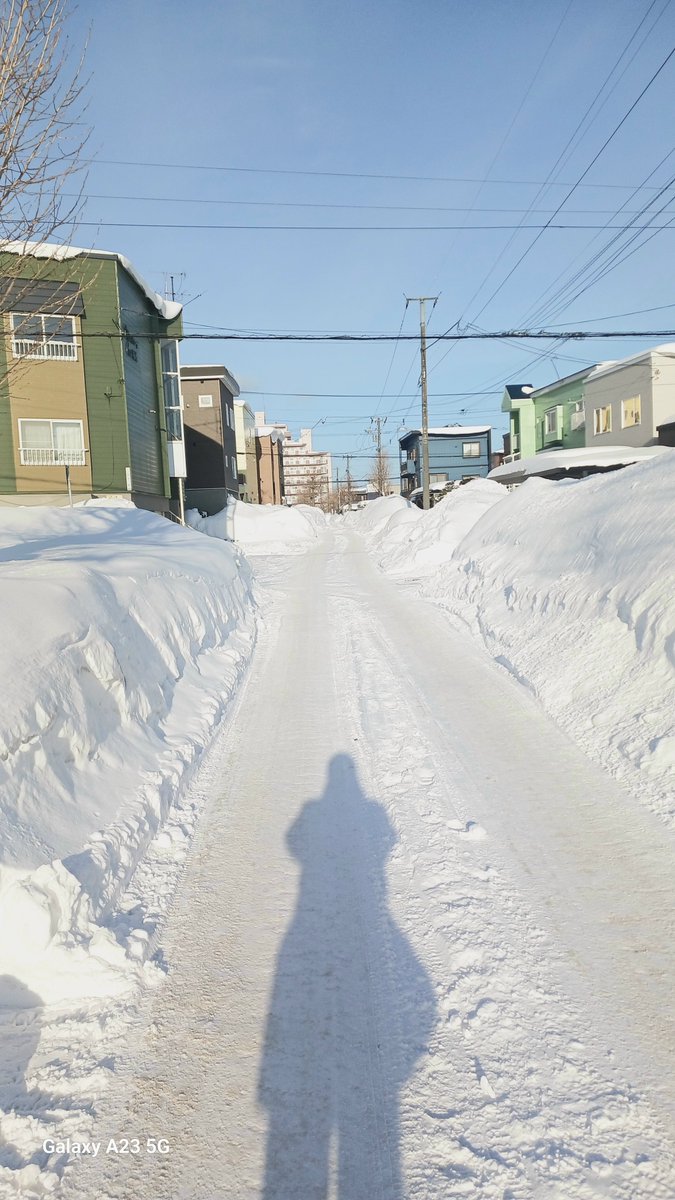 forte_55's tweet photo. ◎ いい加減排雪してくれぇ！

#雪
#冬
#景色
#自然 https://t.co/YI2KURGJ3a