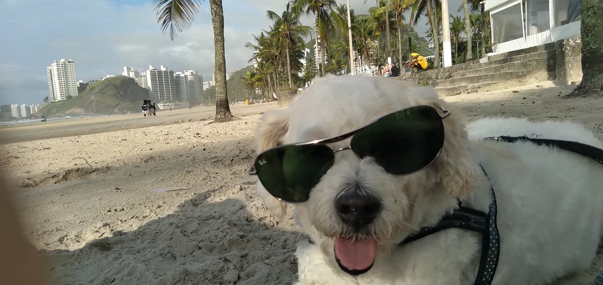 CRISTIANO tweet media