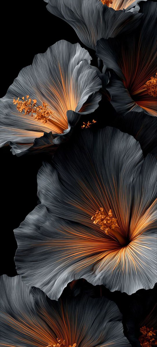 JubairAlom88706's tweet image. Black 4K load and save