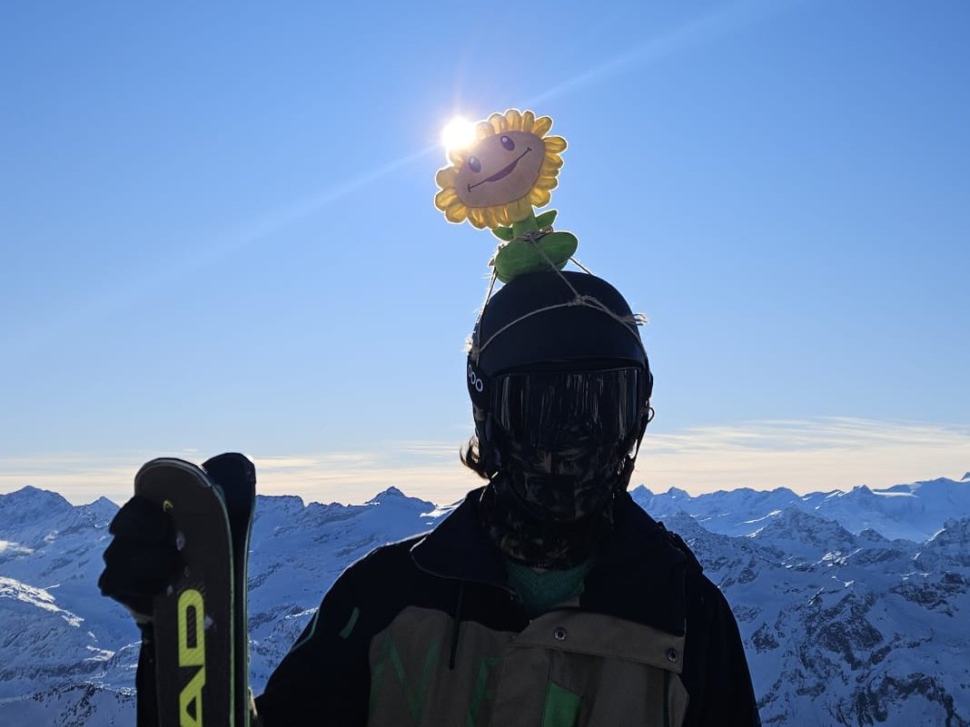 TypingAndWiping's tweet image. #pvz 

one more lol 🌻☀️