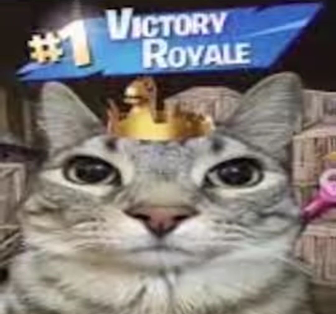 I’M LIVE <3

we try some fortnite? who knows what will happen!

twitch.tv/huneymae