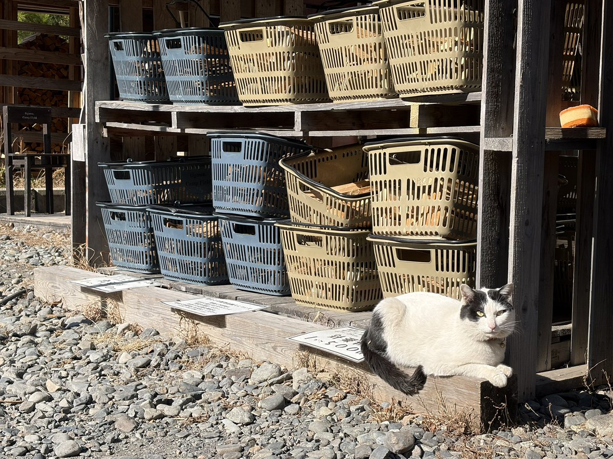 明日も瓦チップ40t搬入できるぜ！ うへへ。