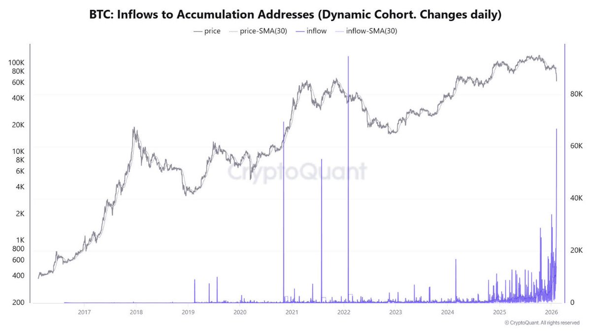 Cripto Hoje tweet media