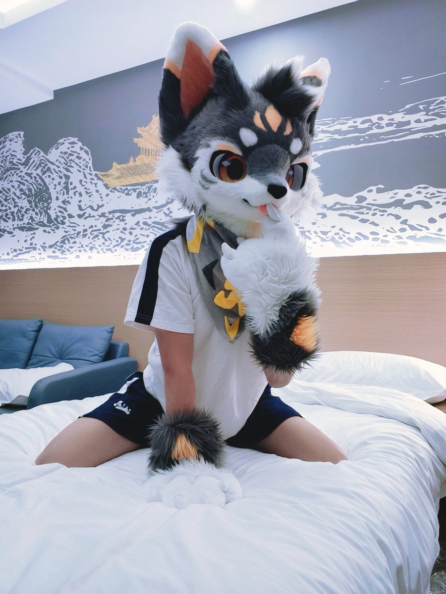 向晚🐾 (@xiangwan0110) / Posts / X